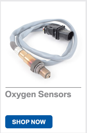 O2 Sensors